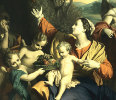 immagine5